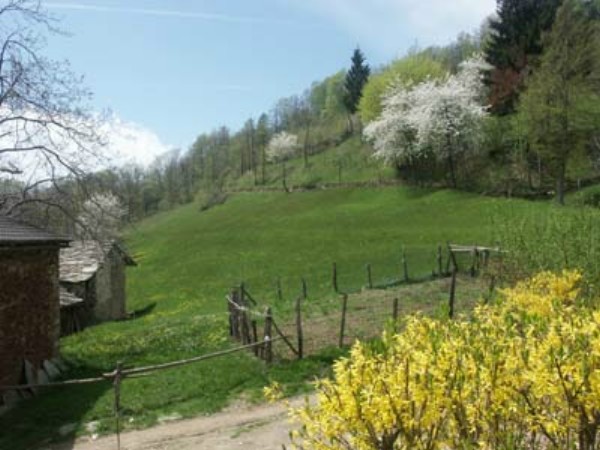../Images/Maggio-2005-075.jpg