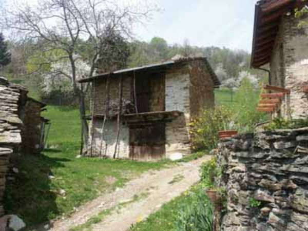 ../Images/garage-di-Bino.jpg