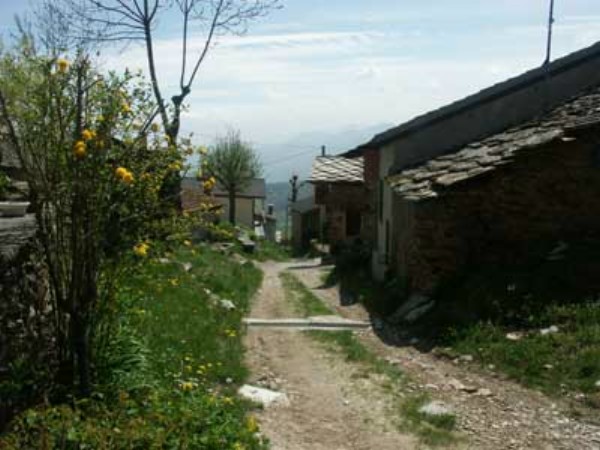 ../Images/la-via-princ.jpg