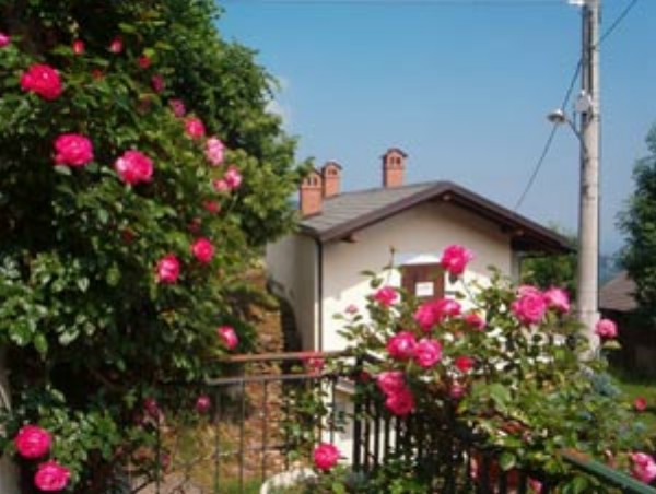../Images/le-rose-dal-terrazzo.jpg