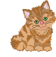 chat_268.gif
